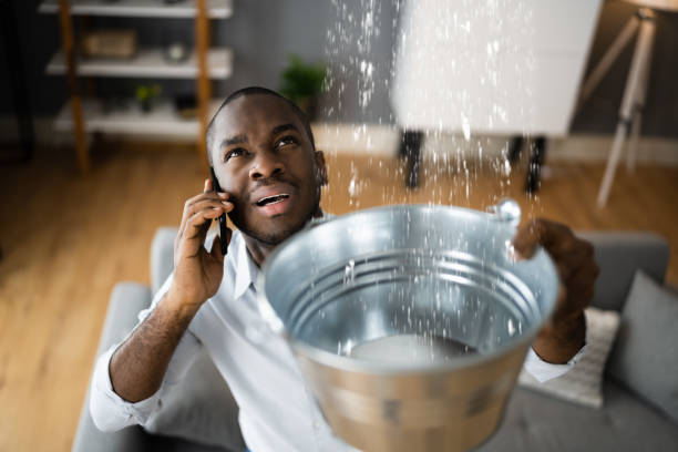 Best Water damage contractors near me  in Oakland, NE