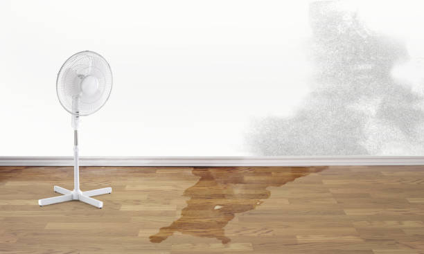 Best Flooded house restoration  in Oakland, NE