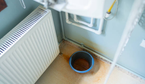 Best Ceiling water damage repair  in Oakland, NE